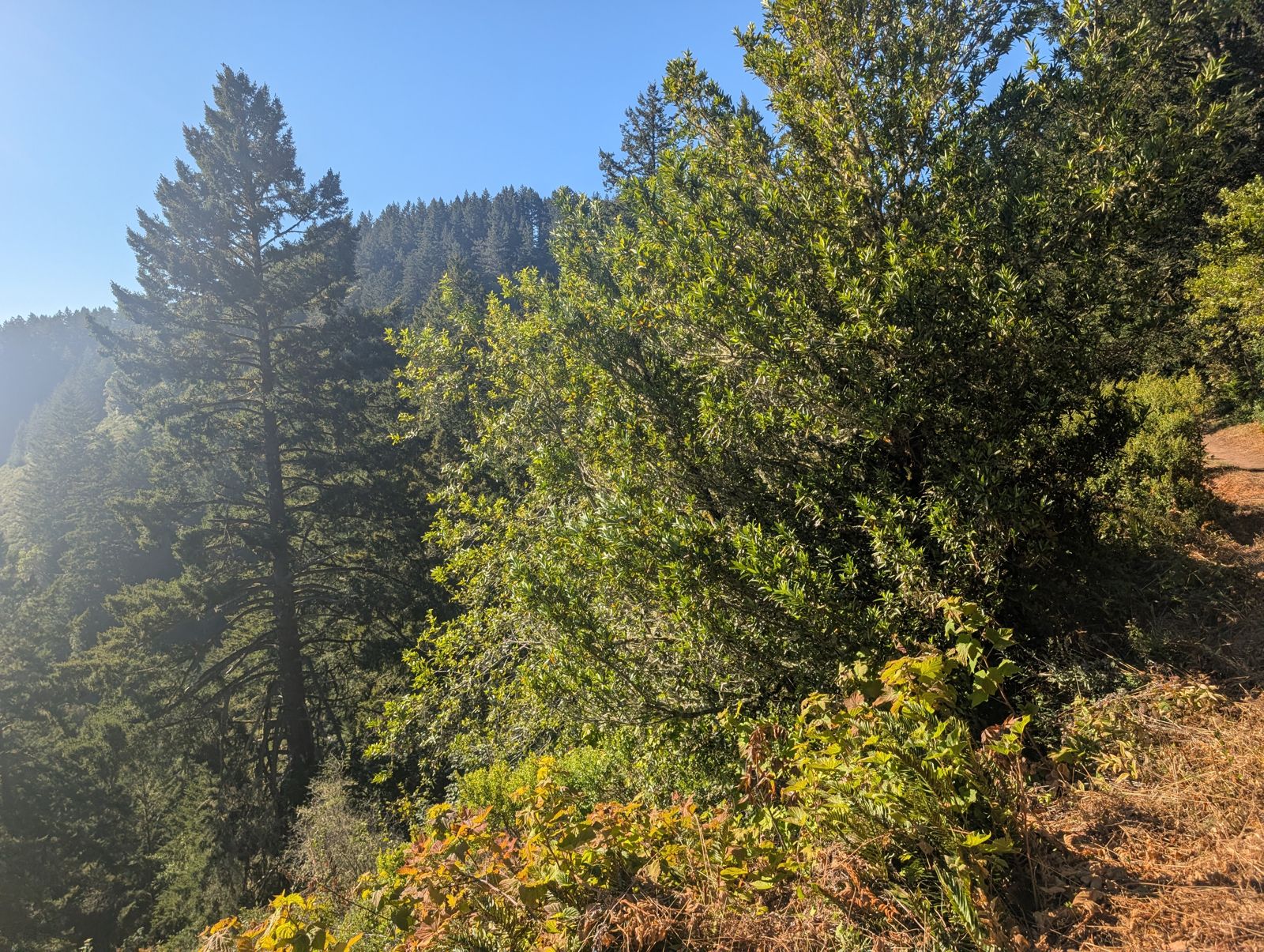 PXL_20260728_003233275.jpg