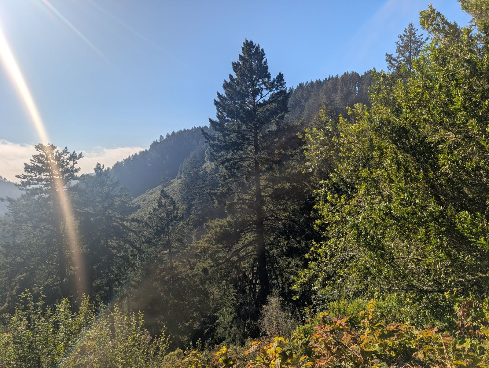 PXL_20260728_003234514.jpg
