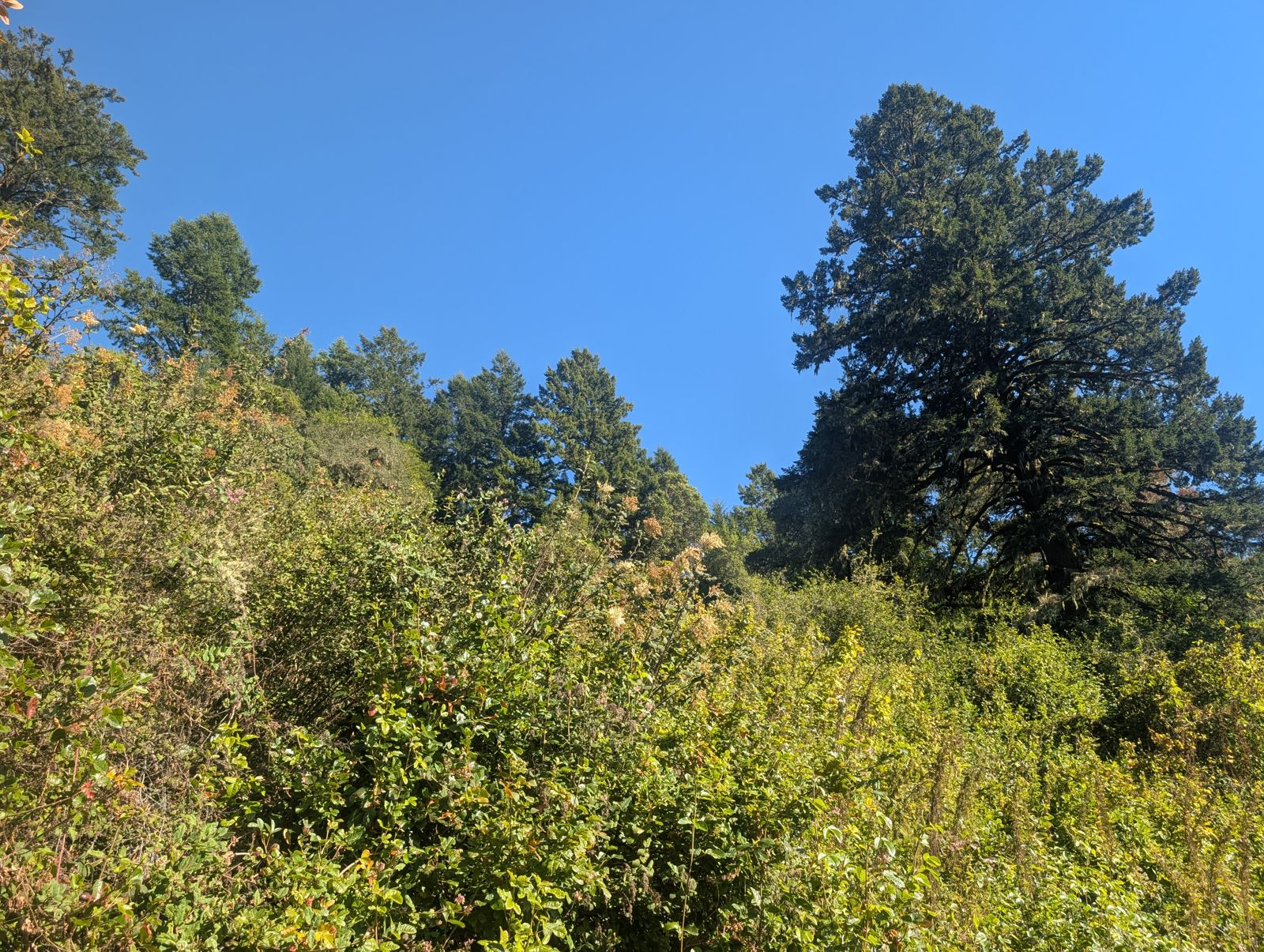 PXL_20260728_003242202.jpg
