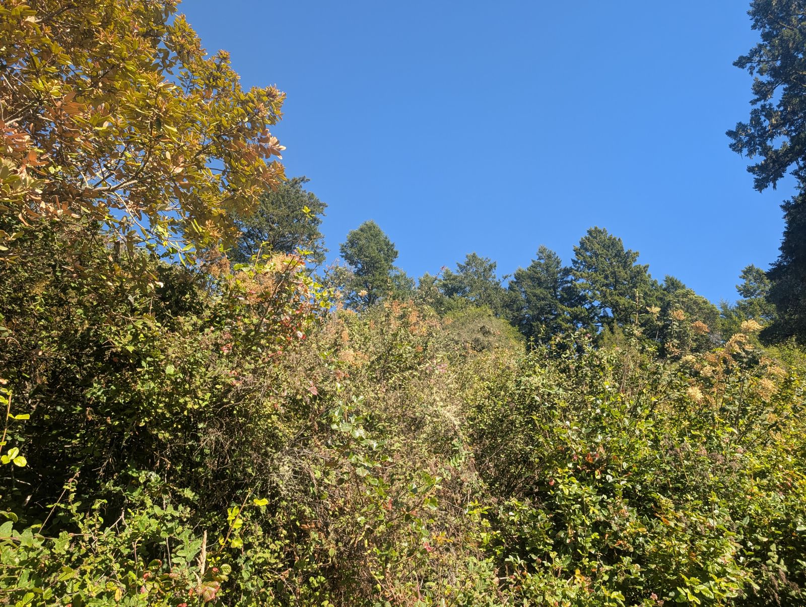 PXL_20260728_003243373.jpg