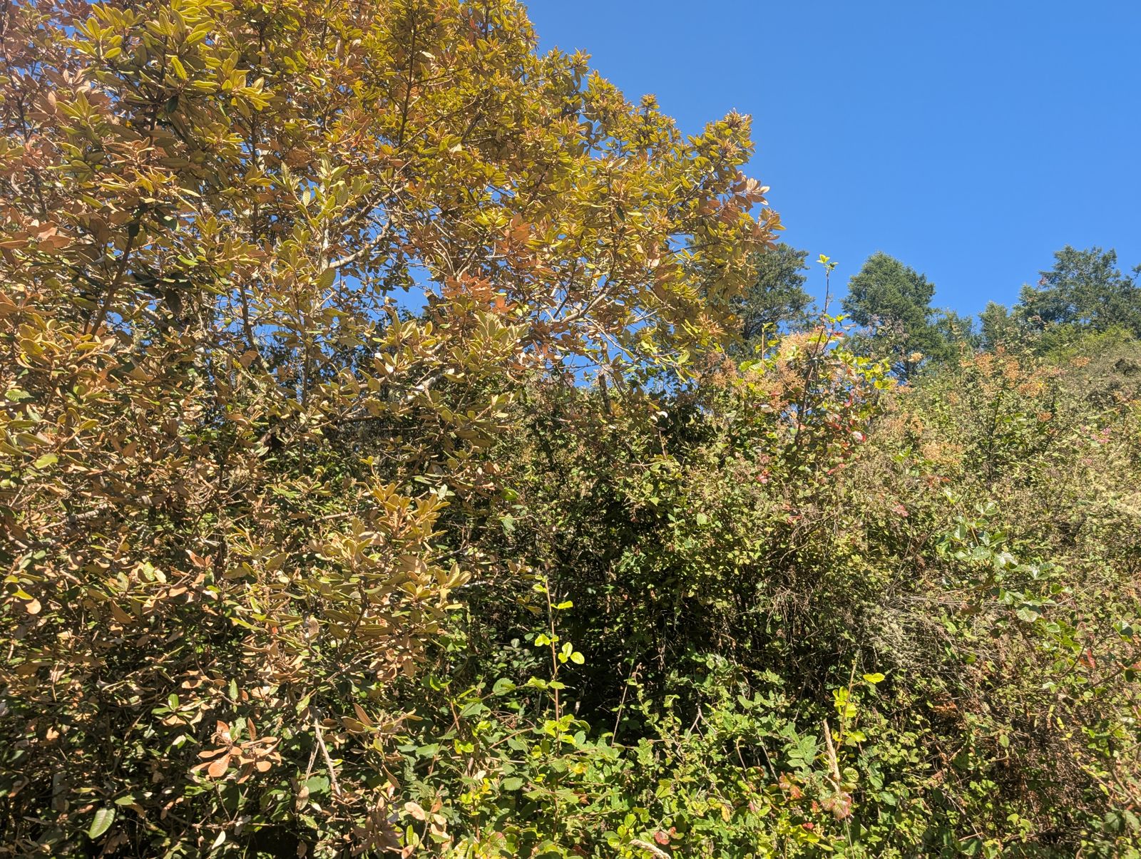 PXL_20260728_003244280.jpg