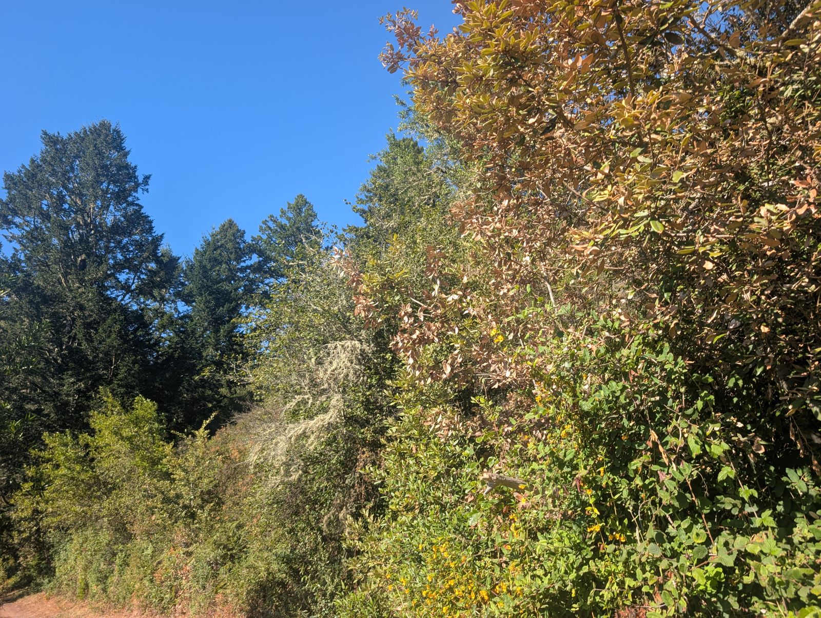 PXL_20260728_003245364.jpg
