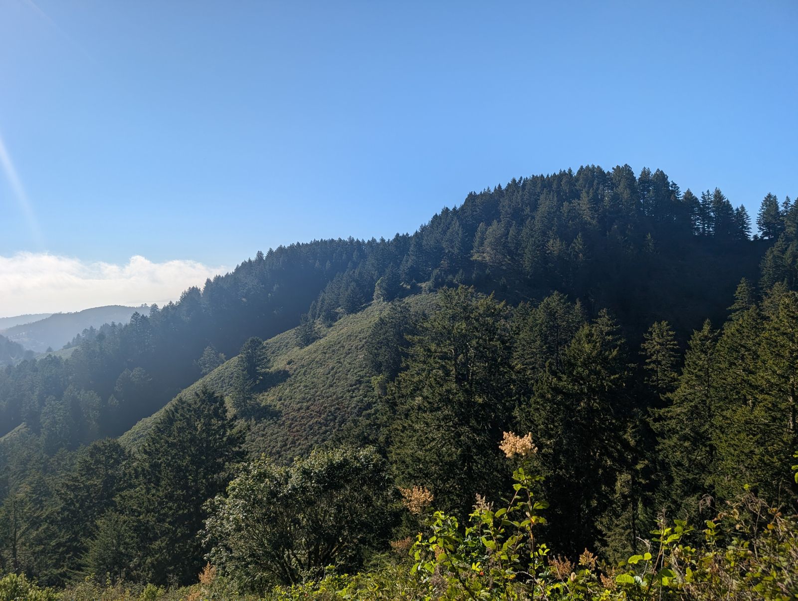 PXL_20260728_003357494.jpg