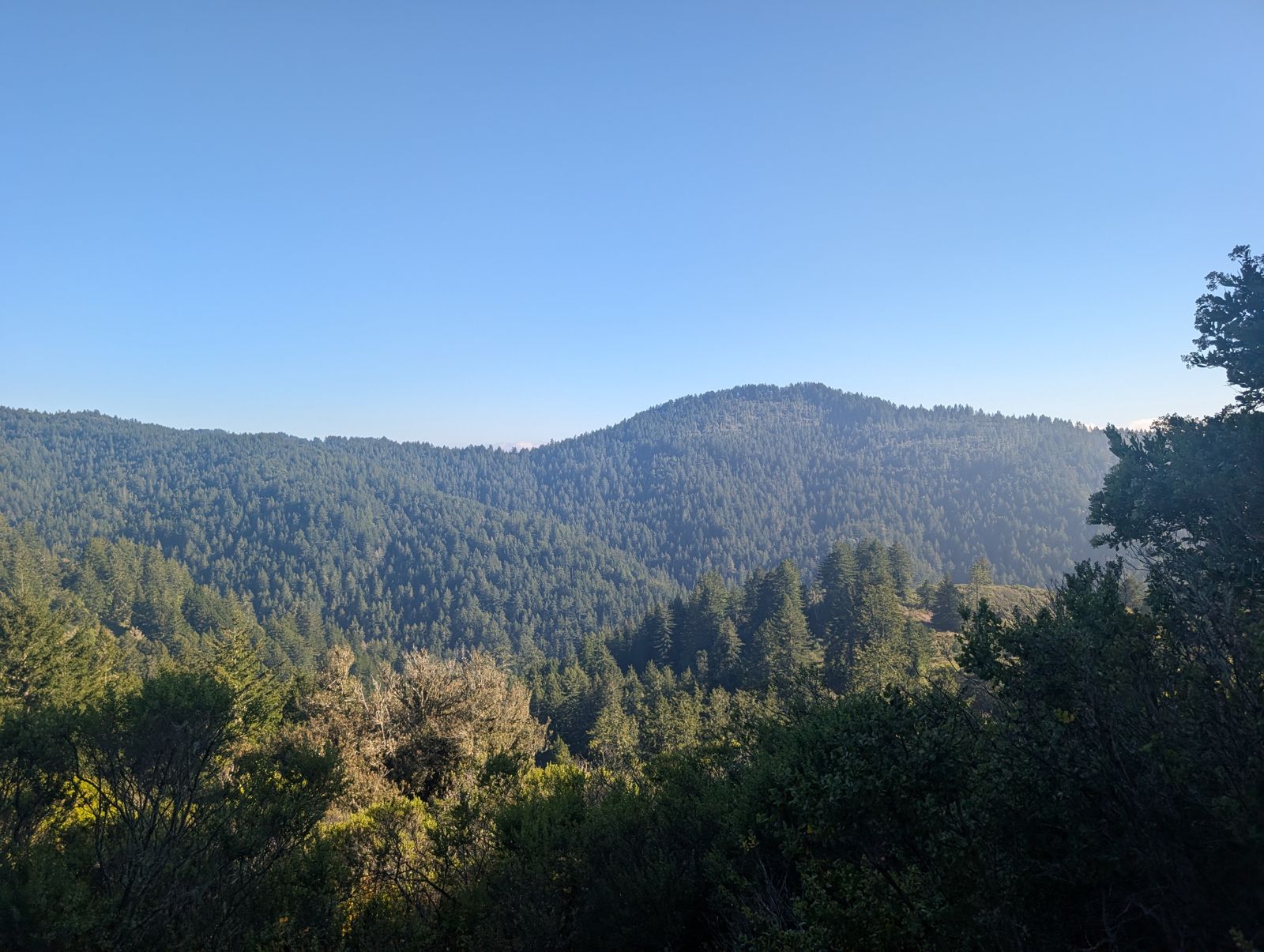 PXL_20260728_003656294.jpg