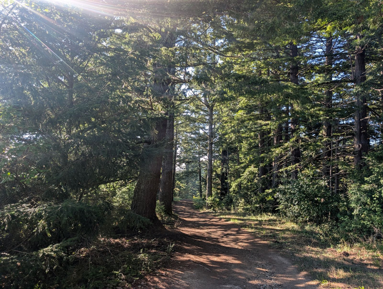 PXL_20260728_004732067.jpg