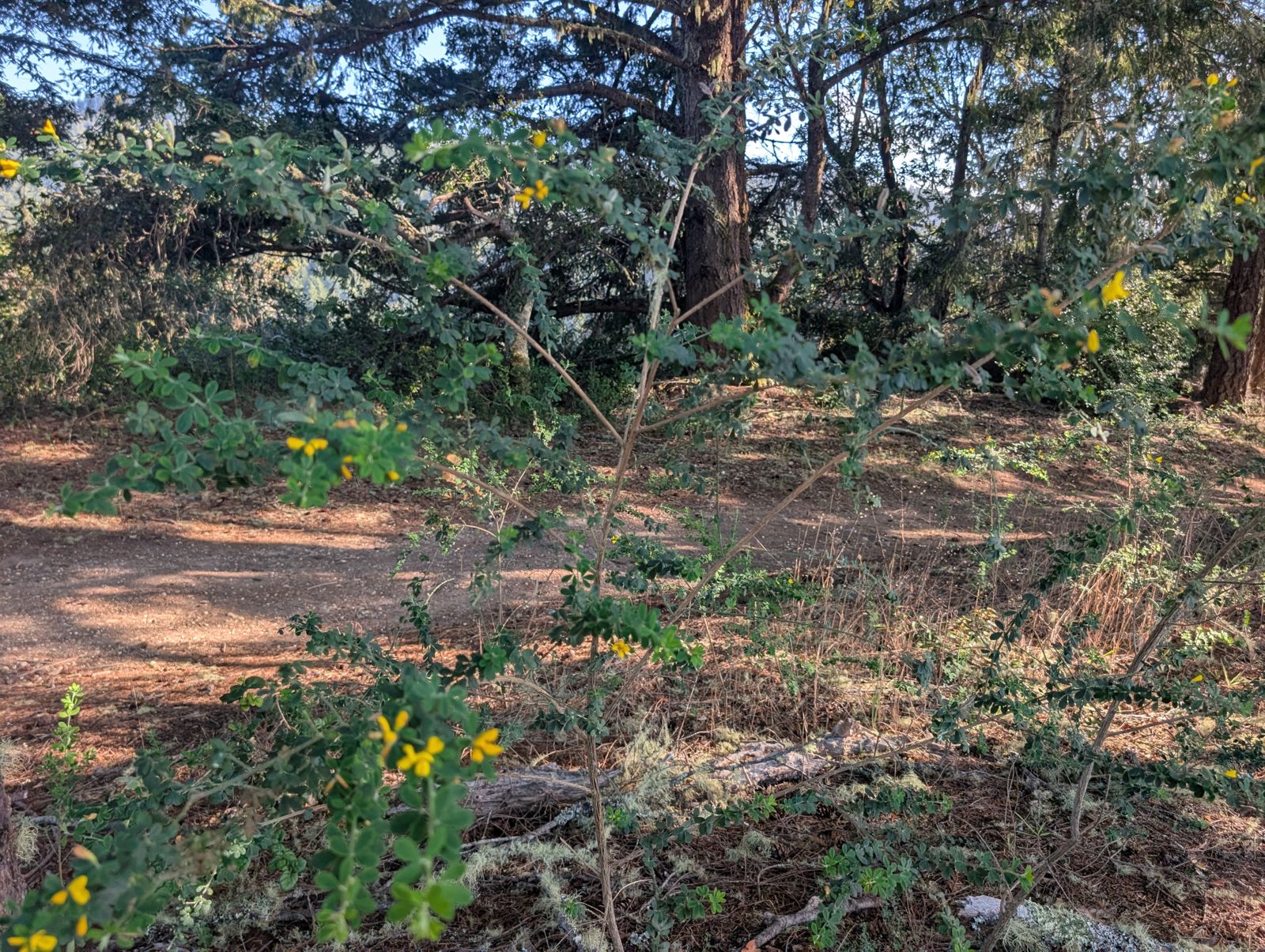 PXL_20260728_010740950.jpg