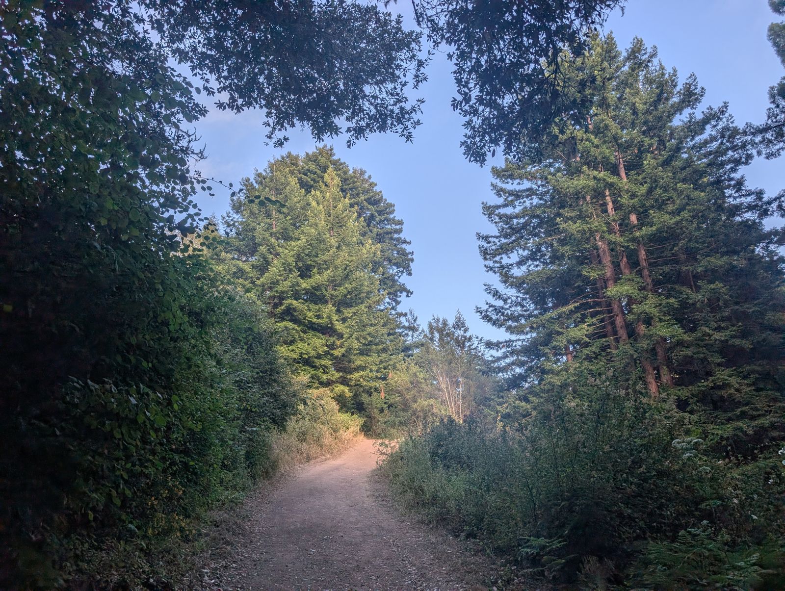 PXL_20260728_012710215.jpg
