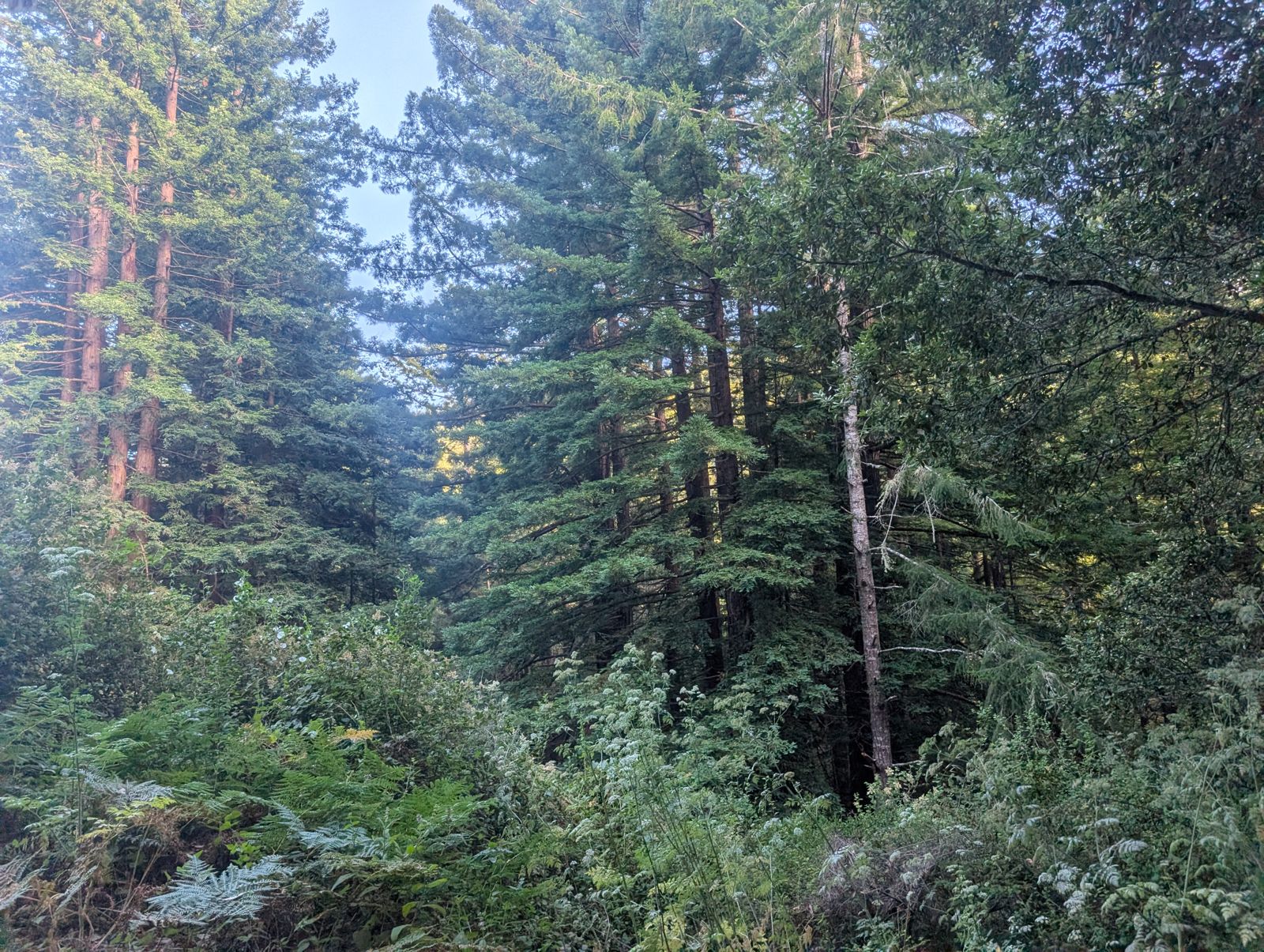 PXL_20260728_012711346.jpg
