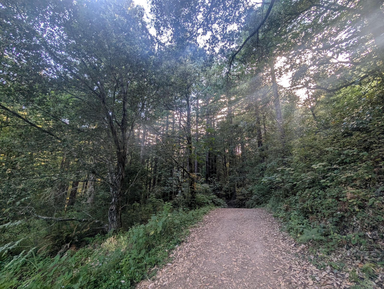 PXL_20260728_012715512.jpg