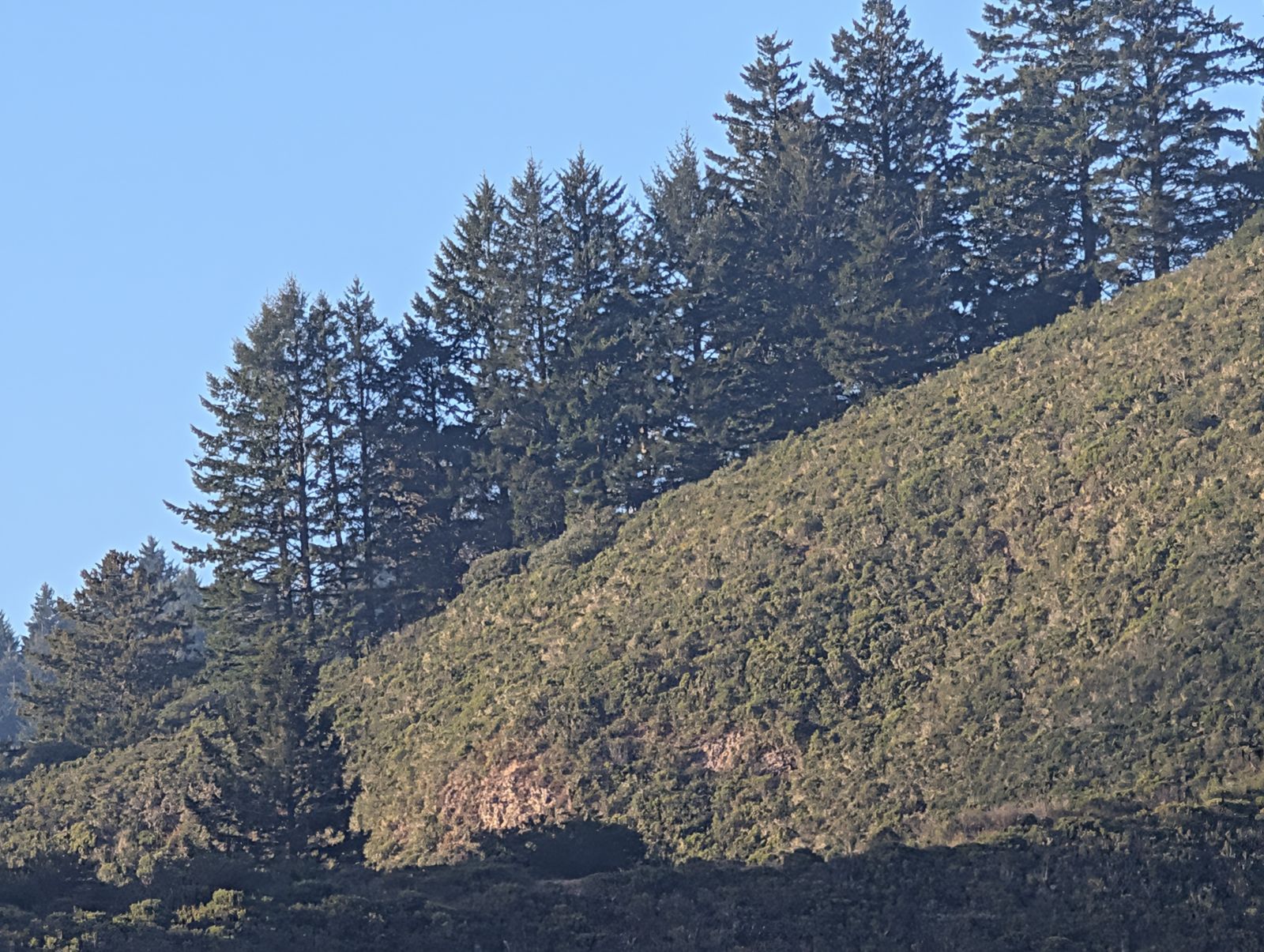 PXL_20260728_020705500.jpg