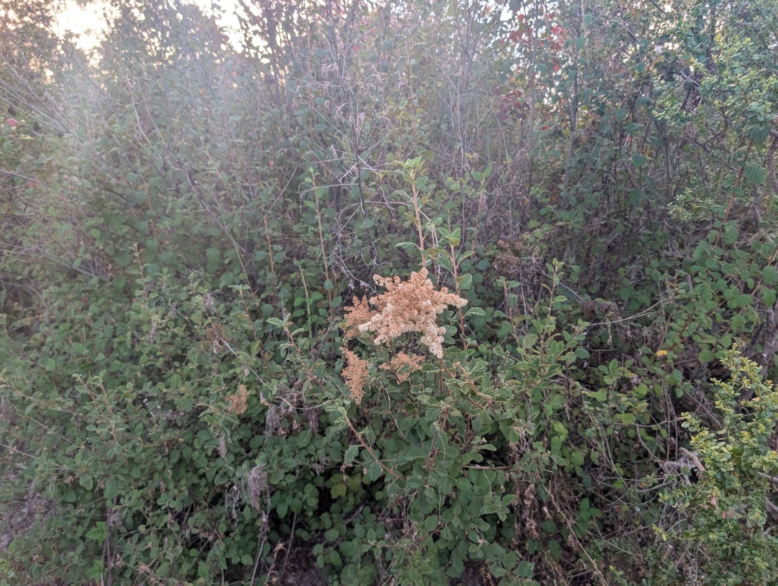 PXL_20260728_020814412.jpg