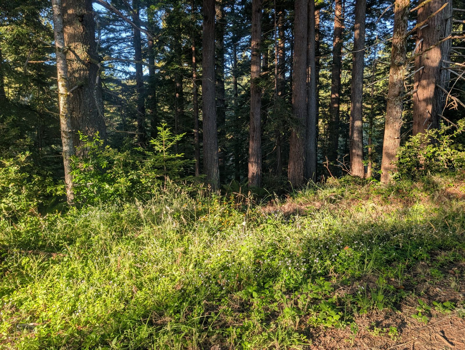 PXL_20260728_021637560.jpg