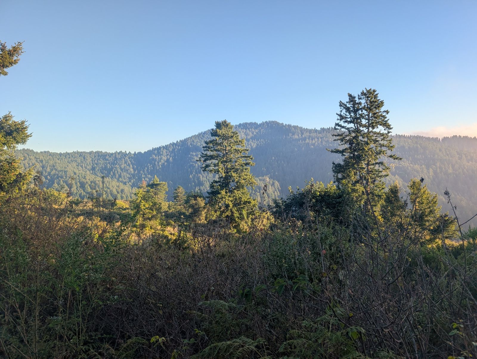 PXL_20260728_022227574.jpg