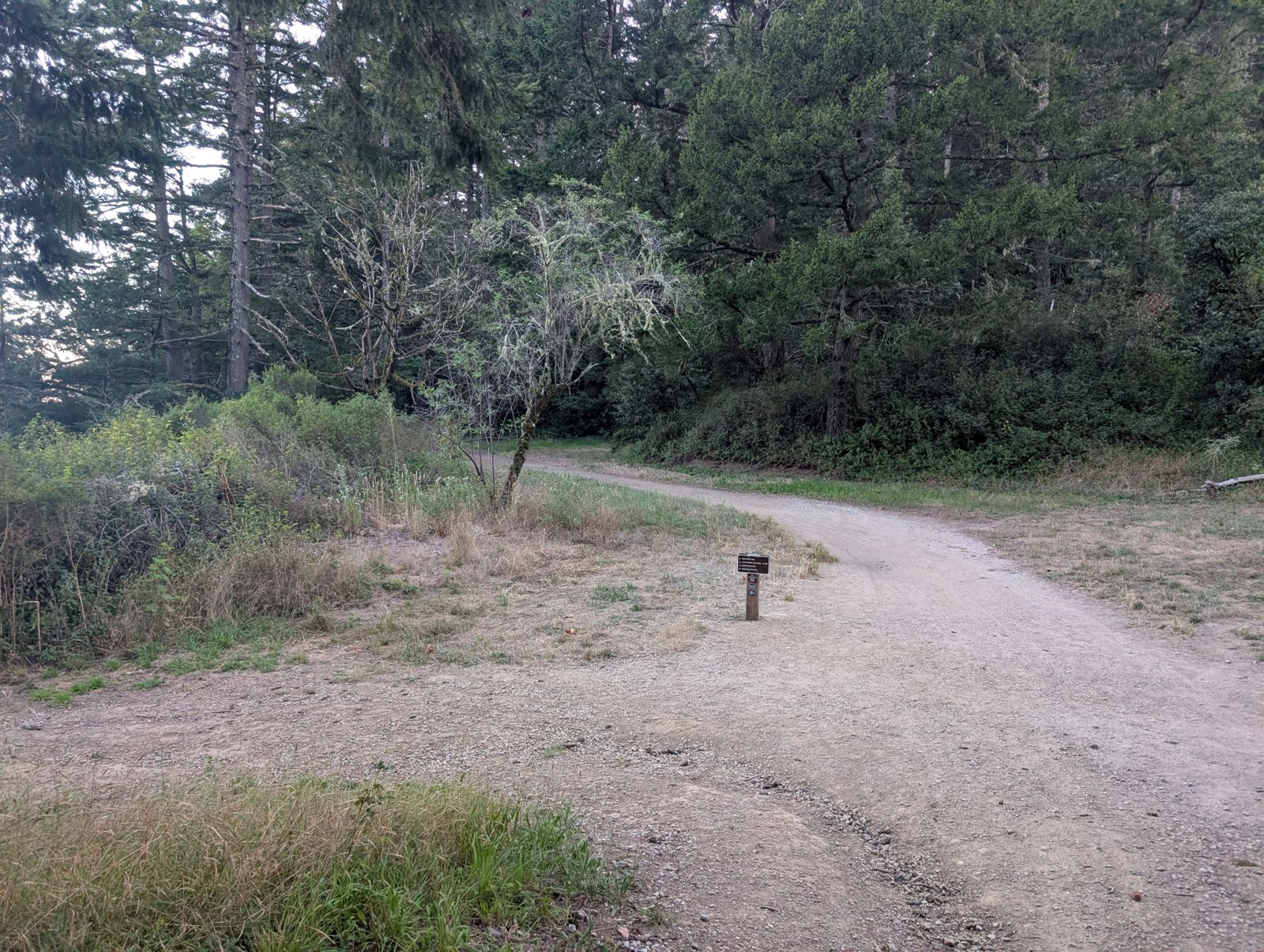 PXL_20260728_024535083.jpg