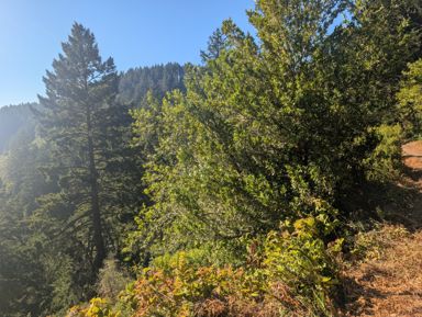 PXL_20260728_003233275.jpg