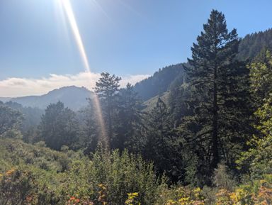PXL_20260728_003235721.jpg