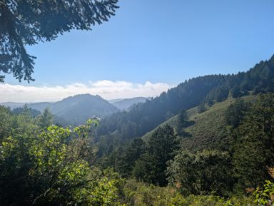 PXL_20260728_003358611.jpg
