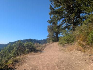 PXL_20260728_004151189.jpg