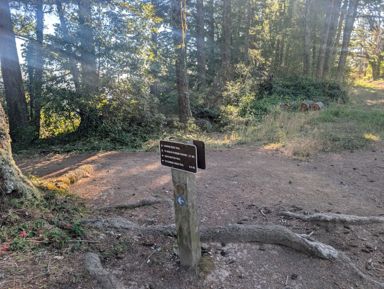 PXL_20260728_004328509.jpg