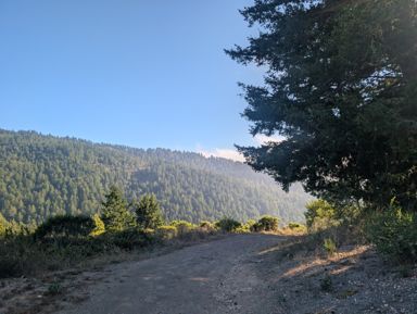 PXL_20260728_005539346.jpg