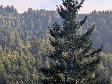 PXL_20260728_011846404.jpg