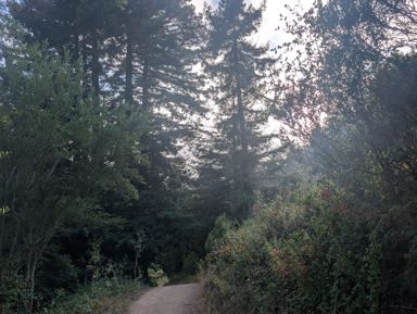 PXL_20260728_013718084.jpg