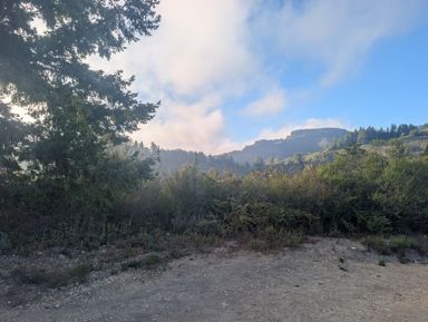 PXL_20260728_020657818.jpg