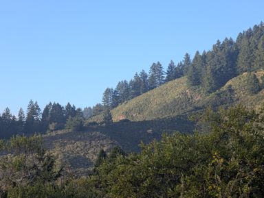 PXL_20260728_020706687.jpg